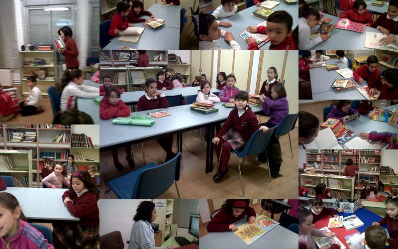 bIBLIOTECA_2