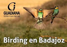 Guadiana birding