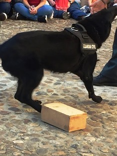 gc2