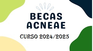 becas acneae 2024 25