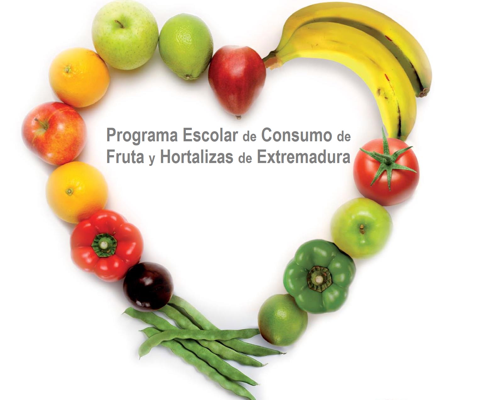 PLAN DE CONSUMO DE FRUTAS Y HORTALIZAS 25