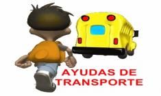 bus escolar 2