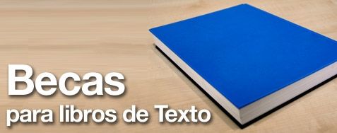 LIBROS becaslibros
