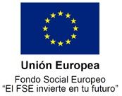 Logo FSE actualizado