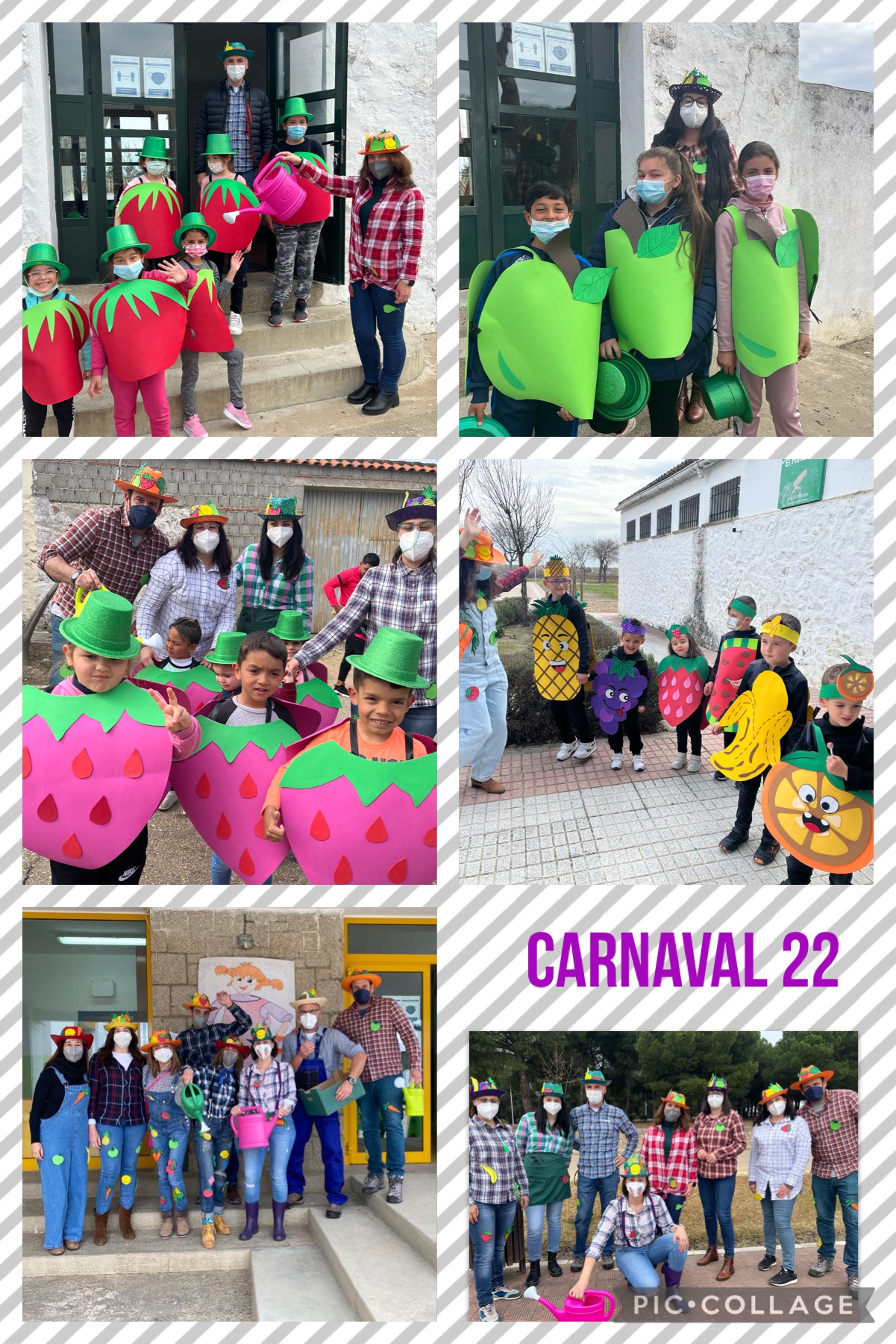 carnaval casaar y alonso