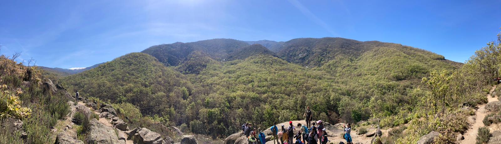 PILONES 2