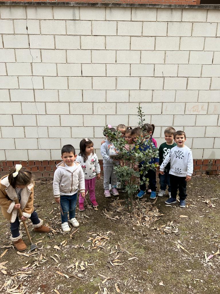 REFORESTACIÓN 1