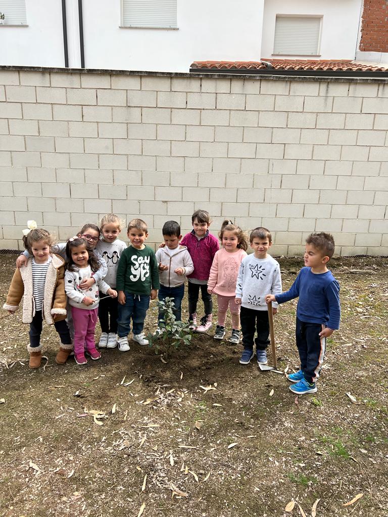 REFORESTACIÓN 3