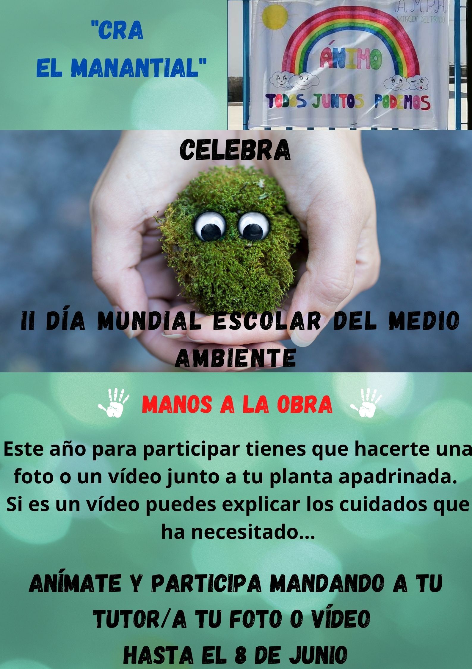 II_DÍA_ESCOLAR_MEDIO_AMBIENTE.jpeg